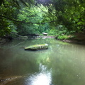 Clifty Wilderness